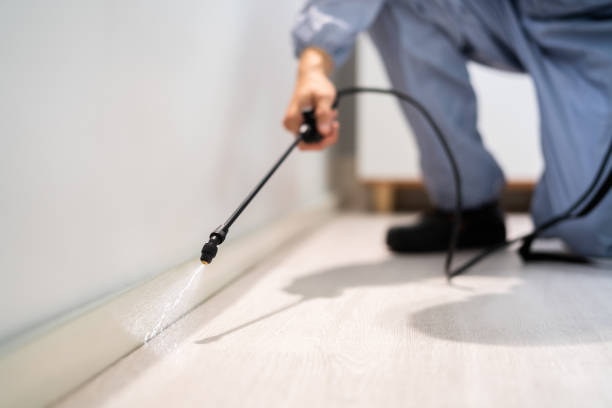 Rodent Entry Point Assessment in Lino Lakes