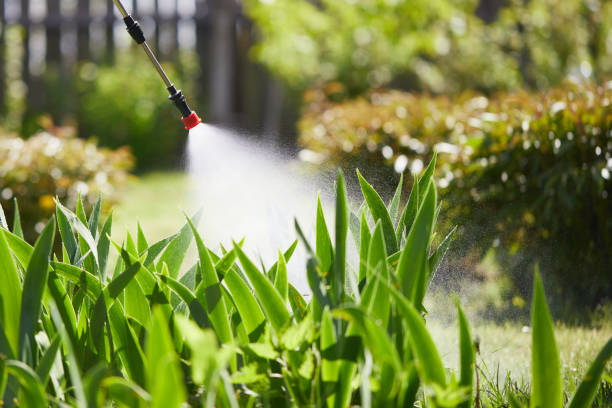 Tamper-Resistant Bait Stations for Rodents in Lino Lakes