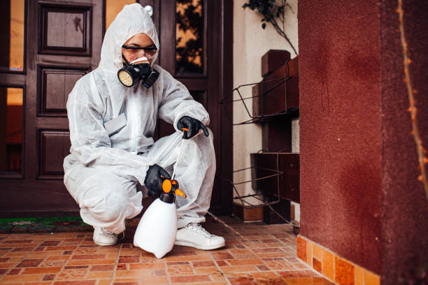 Attic and Crawl Space Rodent Treatment in Lino Lakes