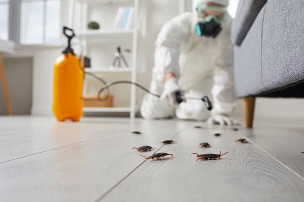 Commercial Rodent Management in Lino Lakes